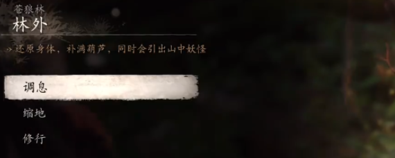 《黑神话悟空》黑风山苍狼林打坐点位置
