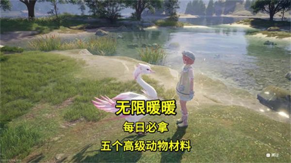 《无限暖暖》高级材料在哪里取高级材料获取攻略1